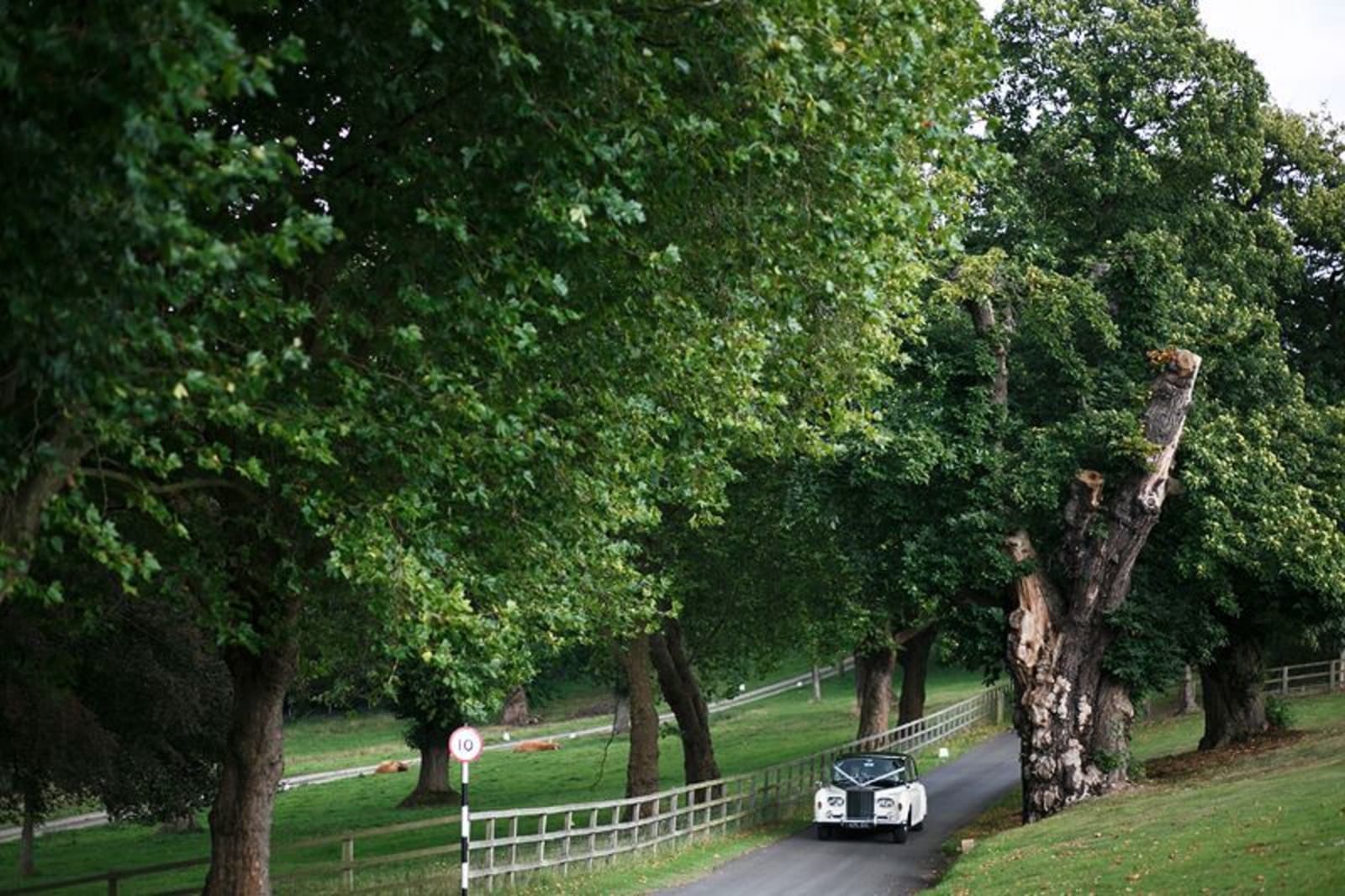 South East | Buckinghamshire | Maidenhead | Autumn | Classic | Elegant | Pink | Brights | Coral | Country House | Real Wedding | Guy Hearn Photography #Bridebook #RealWedding #WeddingIdeas Bridebook.co.uk 