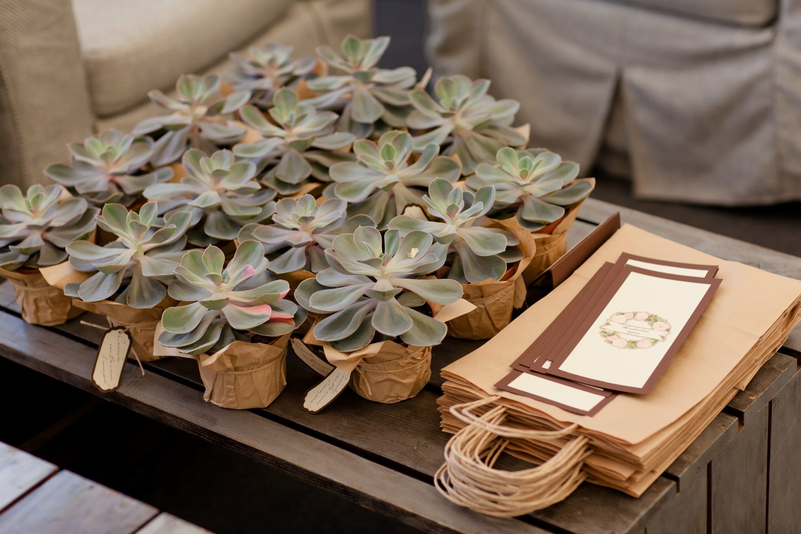 Bridebook.co.uk Wedding Favours Succulents